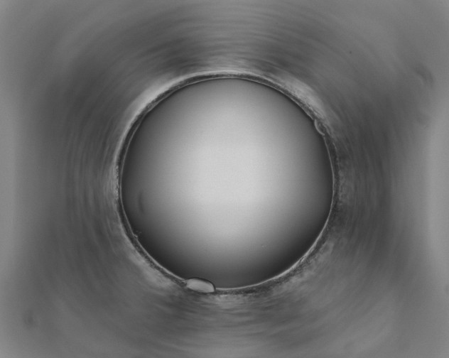 X0000112081380200908181232