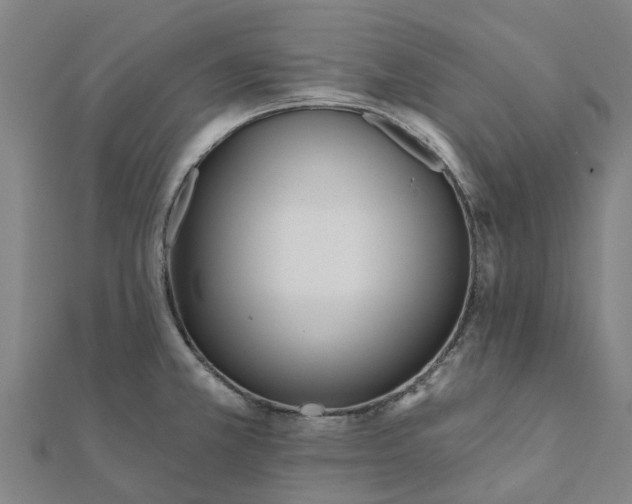 X0000112081381200908181232