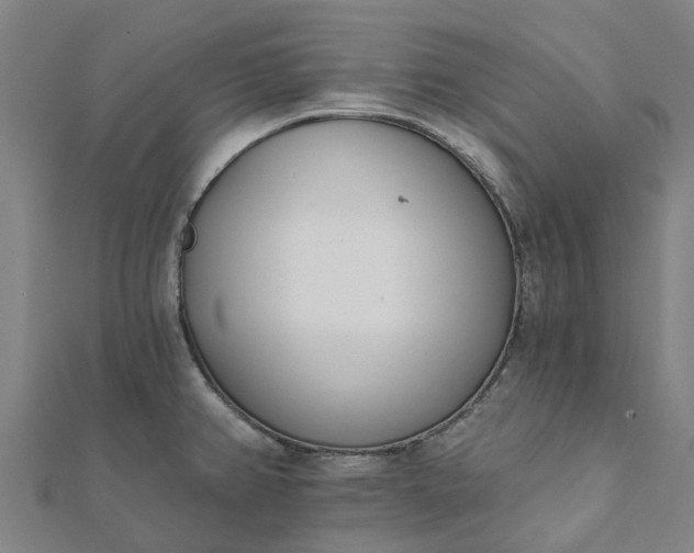 X0000112081382200908181232
