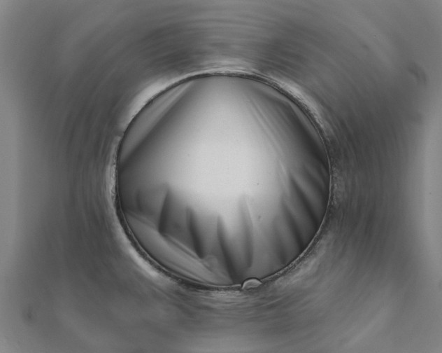 X0000112081383200908181232
