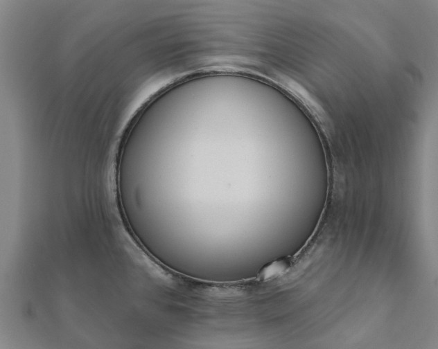 X0000112081384200908181232