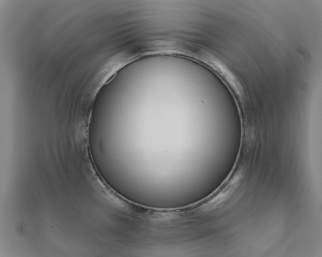 X0000112081385200908181232