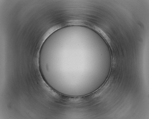 X0000112081386200908181232