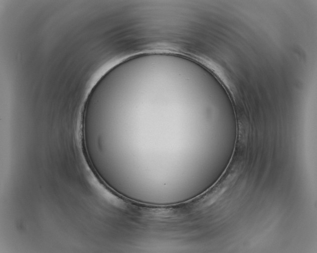 X0000112081387200908181232