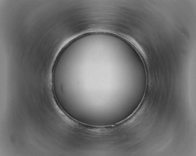 X0000112081388200908181232