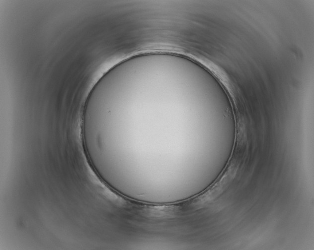 X0000112081390200908181232