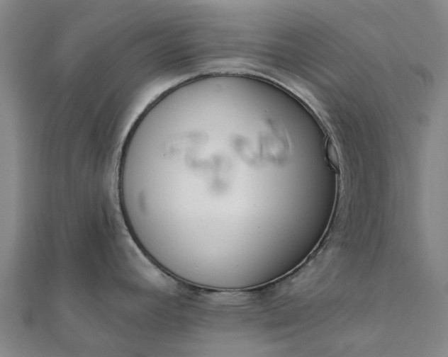 X0000112081392200908181232