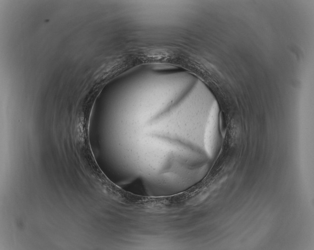 X0000112081394200908181232