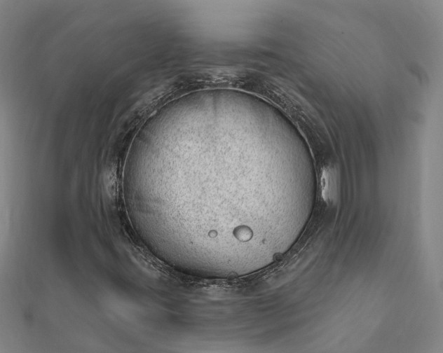 X0000112081395200908181232