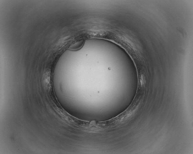 X0000112081396200908181232