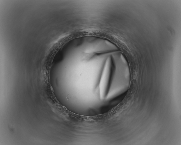 X0000112081398200908181232