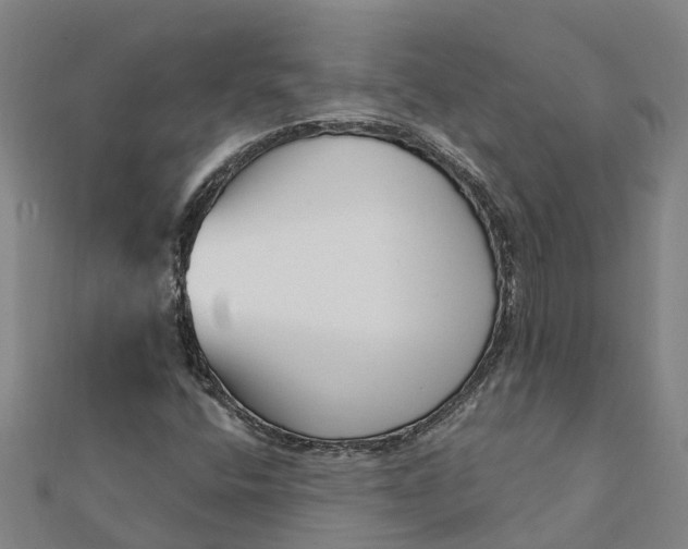 X0000112081400200908181232