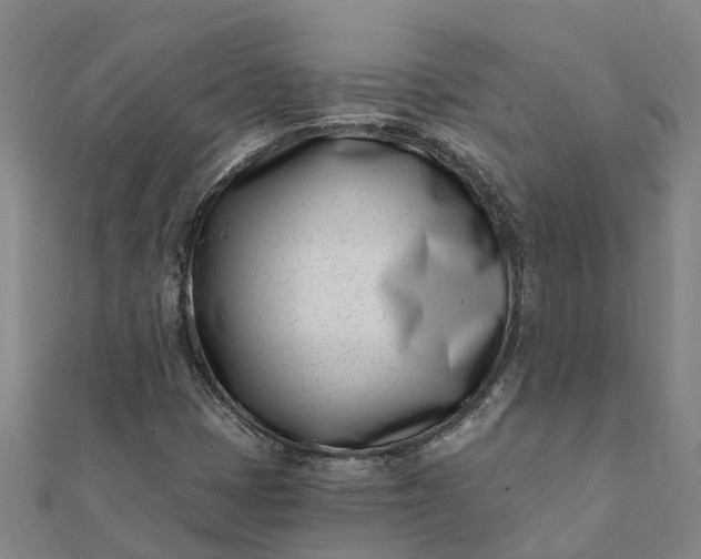 X0000112081401200908181232