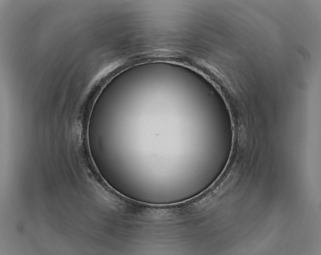 X0000112081402200908181232