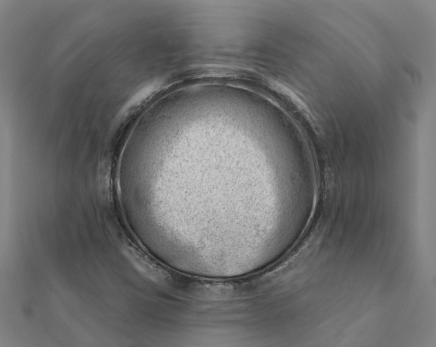 X0000112081403200908181232