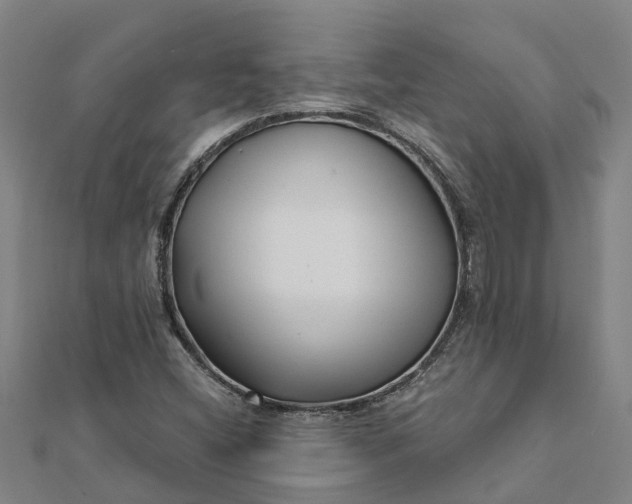 X0000112081404200908181232