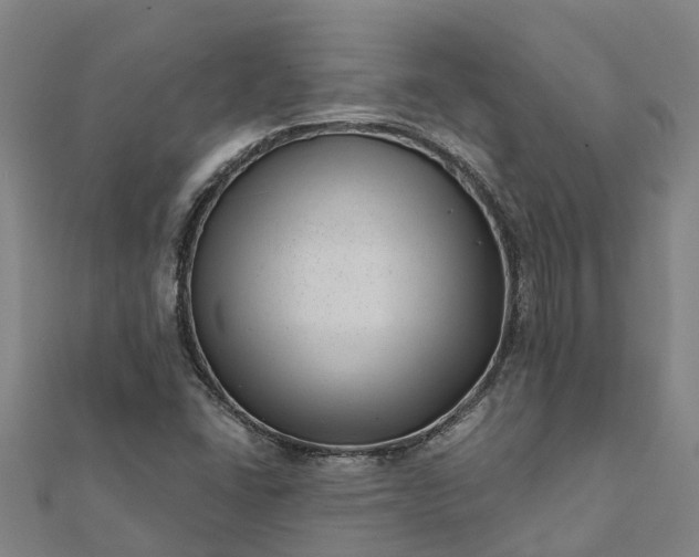 X0000112081406200908181232
