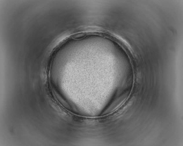 X0000112081407200908181232