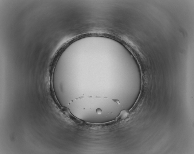 X0000112081408200908181232