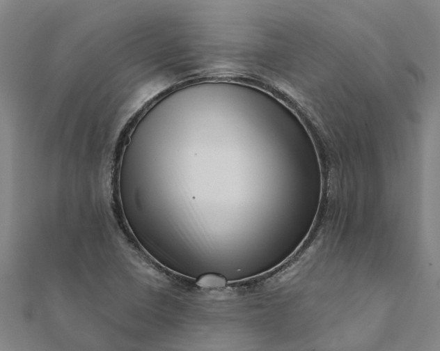 X0000112081410200908181232