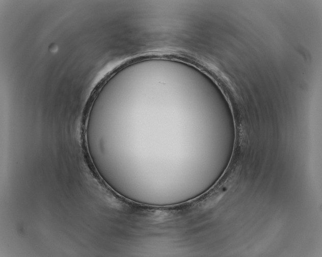 X0000112081412200908181232