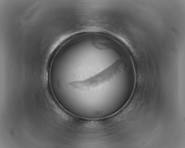 X0000112081414200908181232