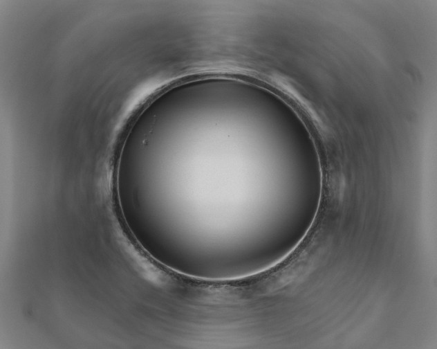 X0000112081416200908181232