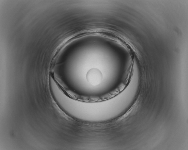 X0000112081417200908181232