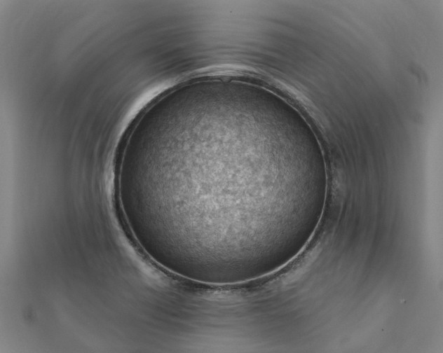 X0000112081418200908181232