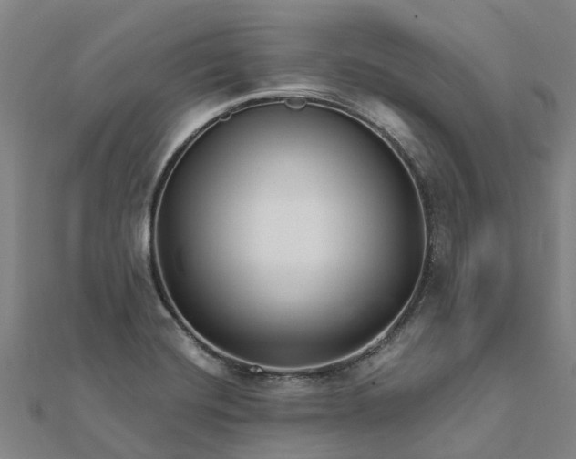 X0000112081420200908181232