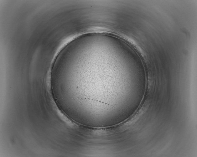 X0000112081421200908181232