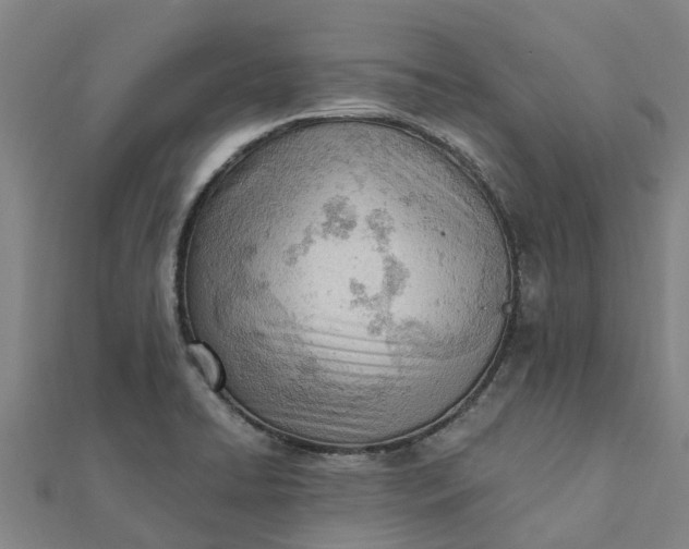 X0000112081422200908181232