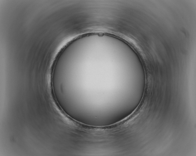 X0000112081424200908181232