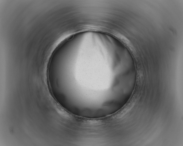 X0000112081427200908181232
