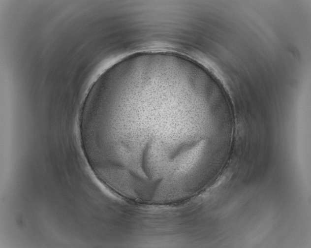 X0000112081429200908181232