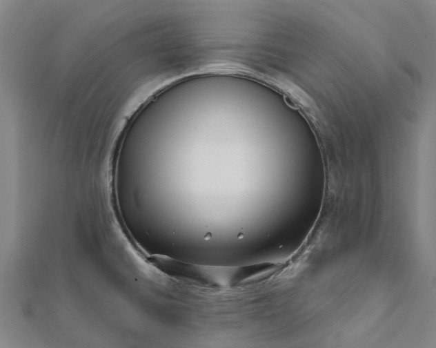 X0000112081430200908181232