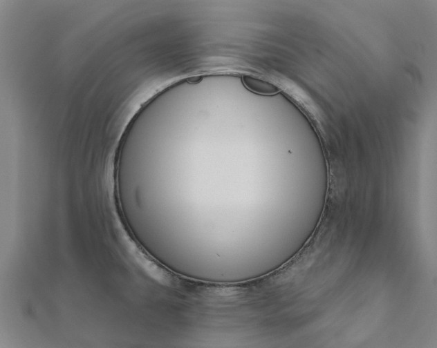 X0000112081431200908181232