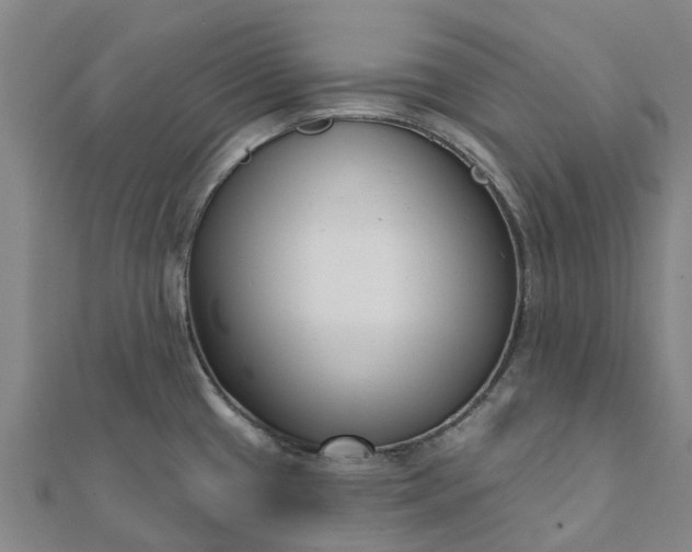 X0000112081433200908181232