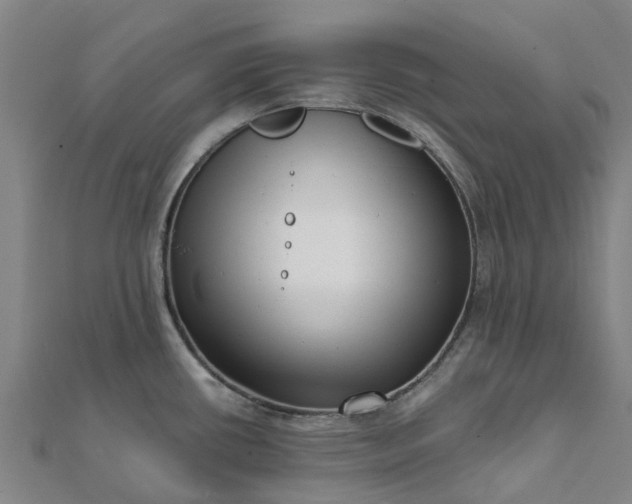 X0000112081434200908181232