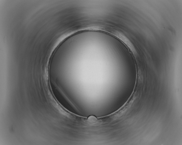 X0000112081436200908181232