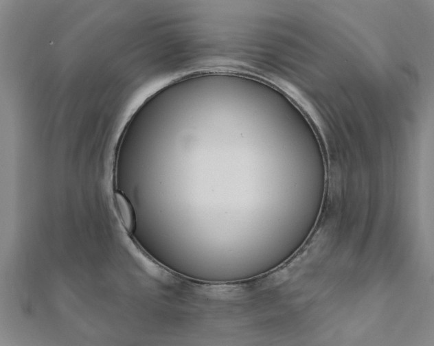 X0000112081437200908181232