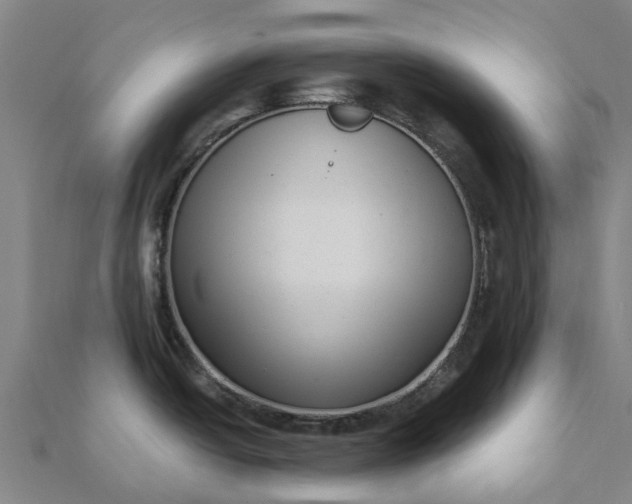 X0000112081438200908181232