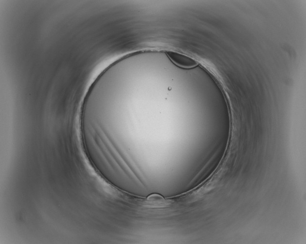 X0000112081440200908181232
