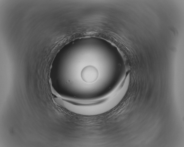 X0000112081441200908181232