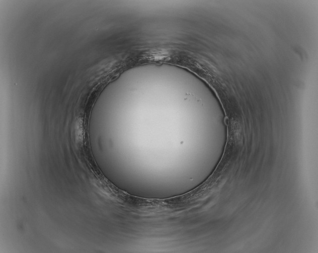 X0000112081442200908181232