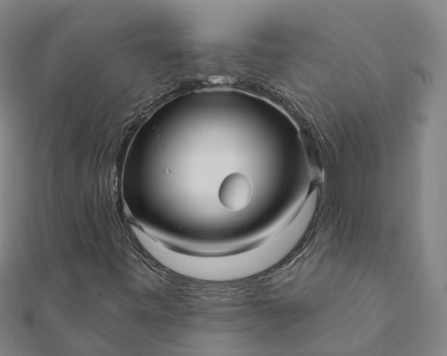 X0000112081443200908181232