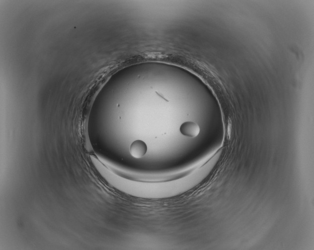 X0000112081444200908181232