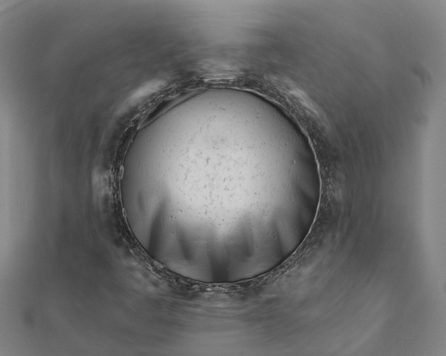 X0000112081445200908181232