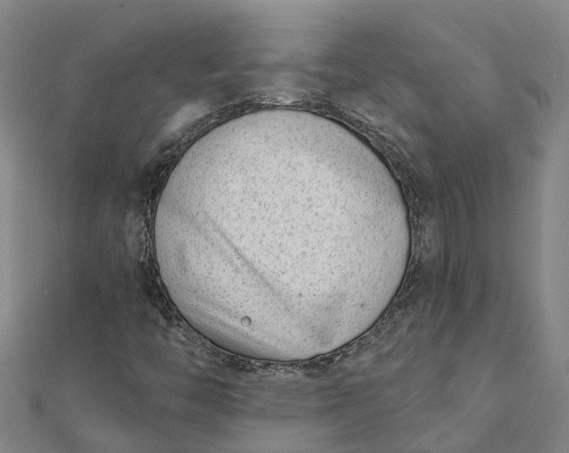 X0000112081446200908181232