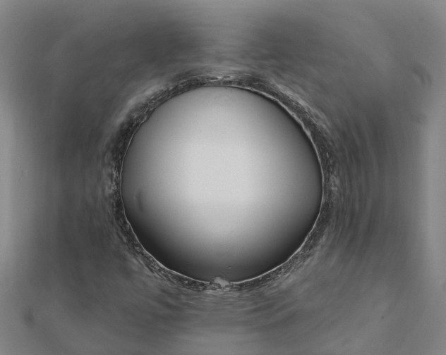 X0000112081447200908181232